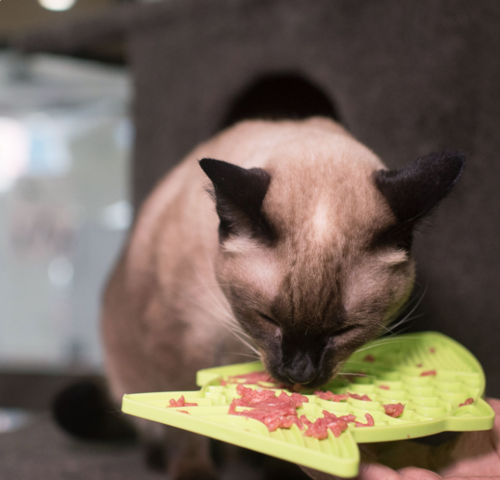 LickiMat Casper Fish-Shaped Slow Feeder for Cats